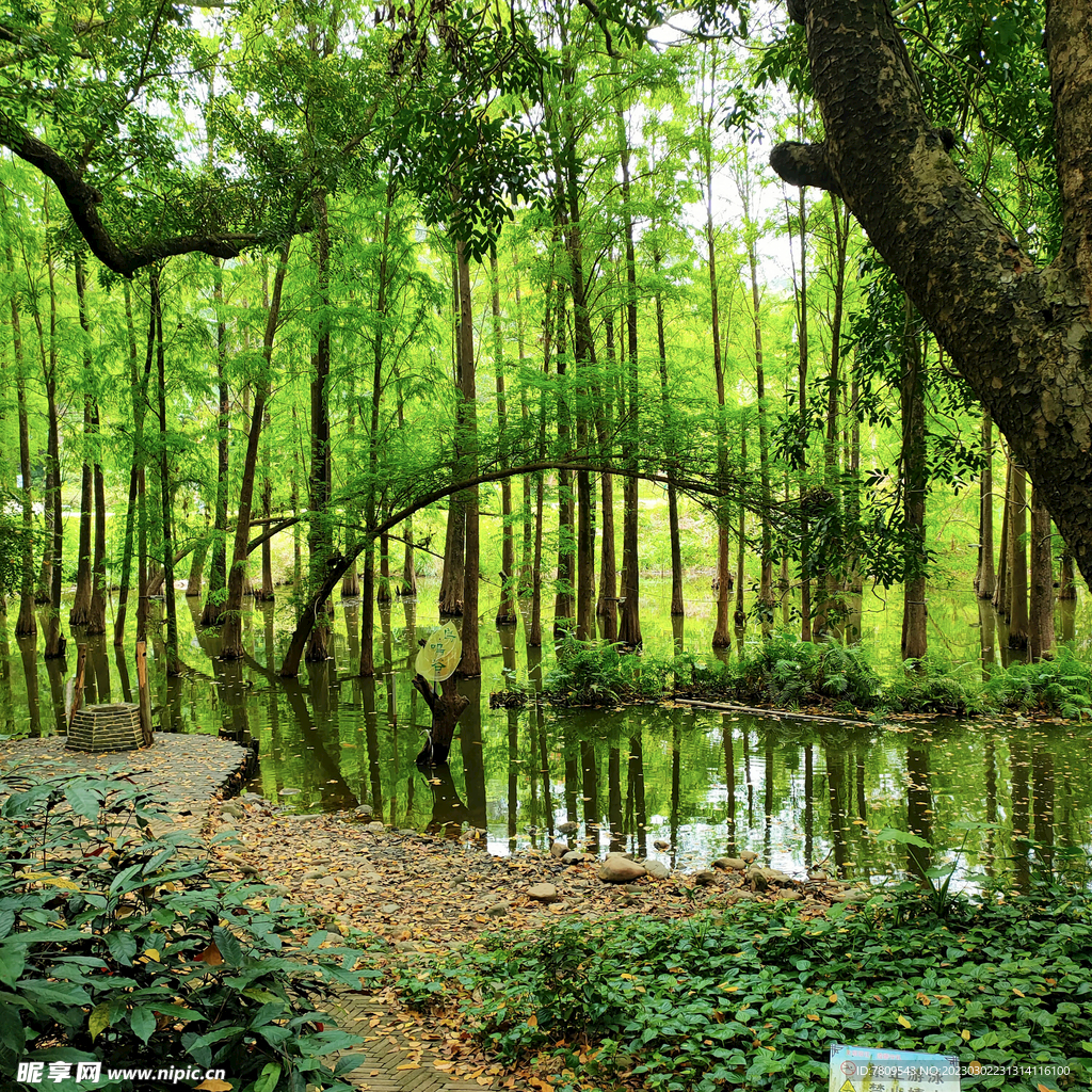 植物公园