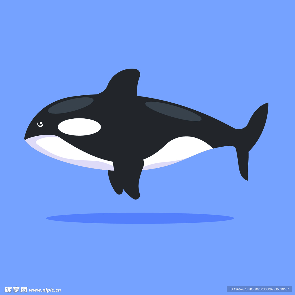 动物 