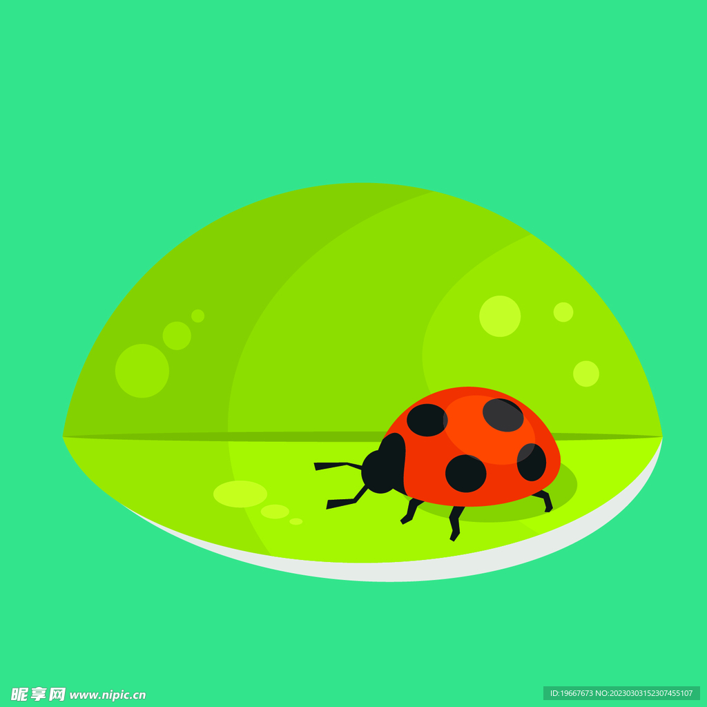 动物 