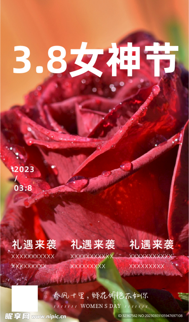 玫瑰花