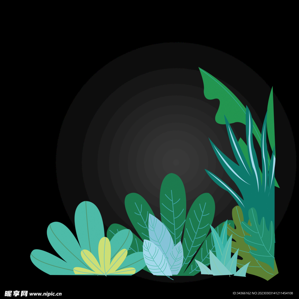 卡通植物 