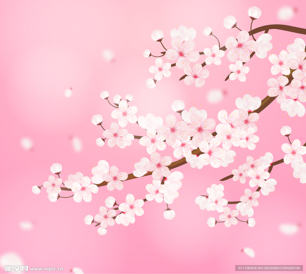 樱花插画