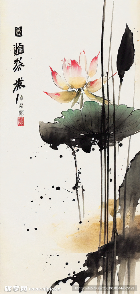 国画荷花图