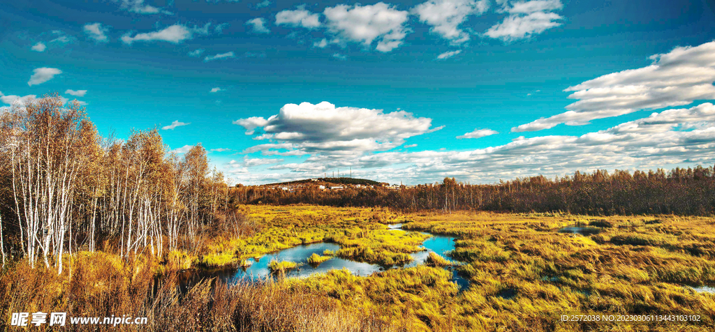 黑龙江伊春乌伊岭湿地公园
