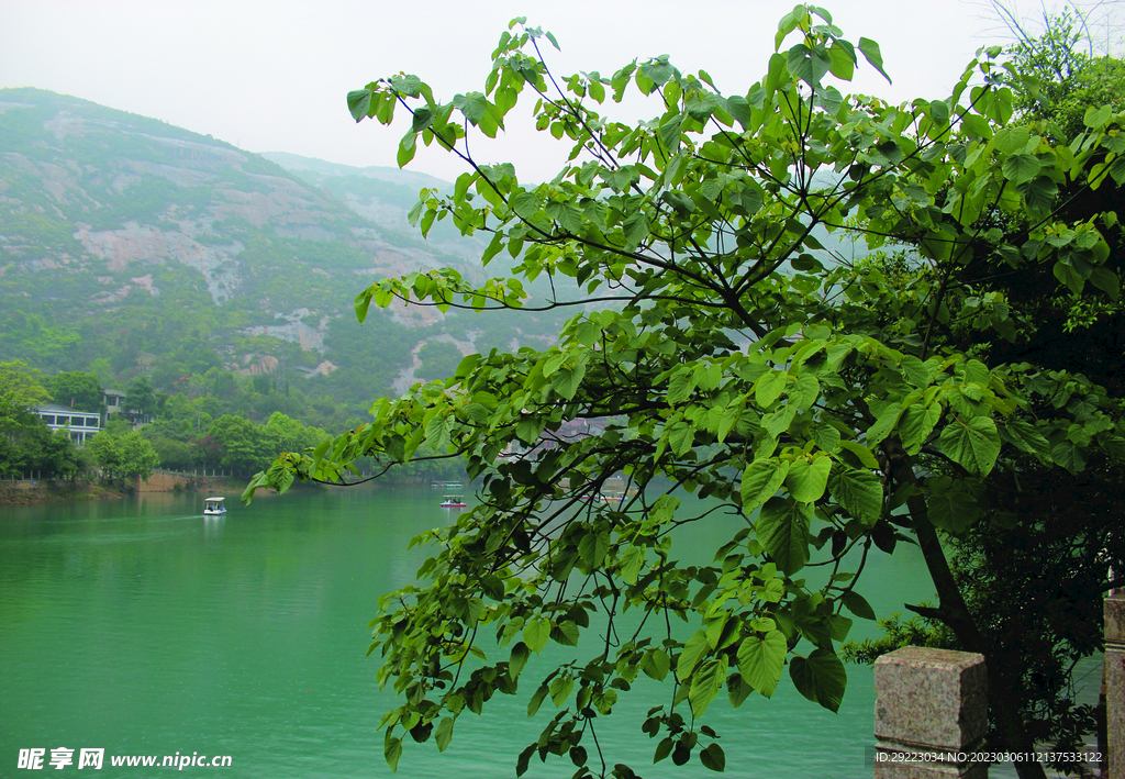 风景   水    树叶   