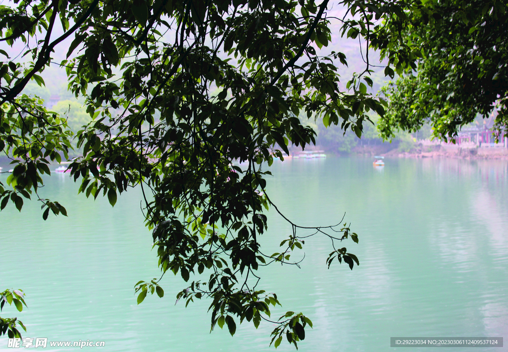 风景   水    树    