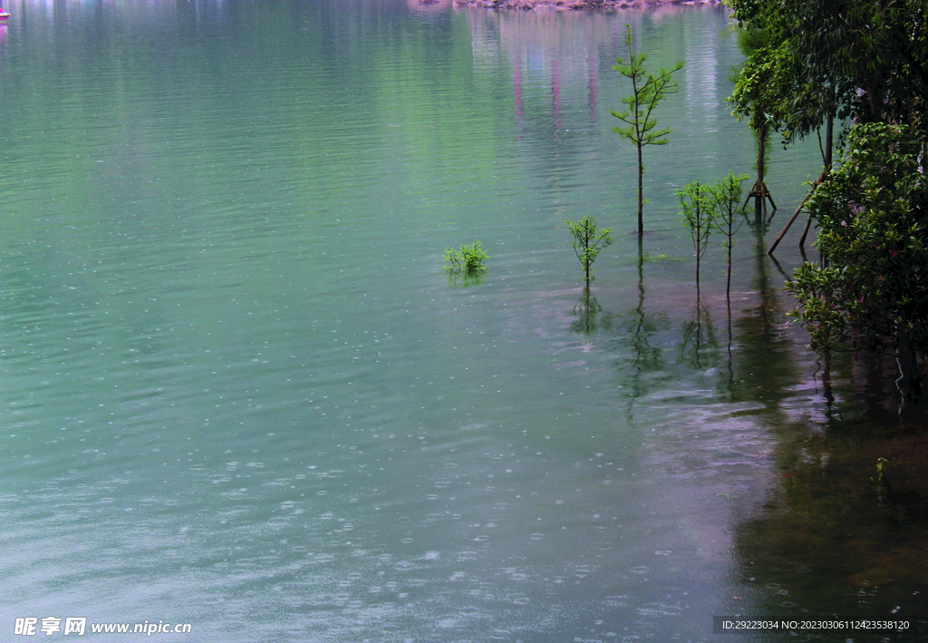 风景   水    树    