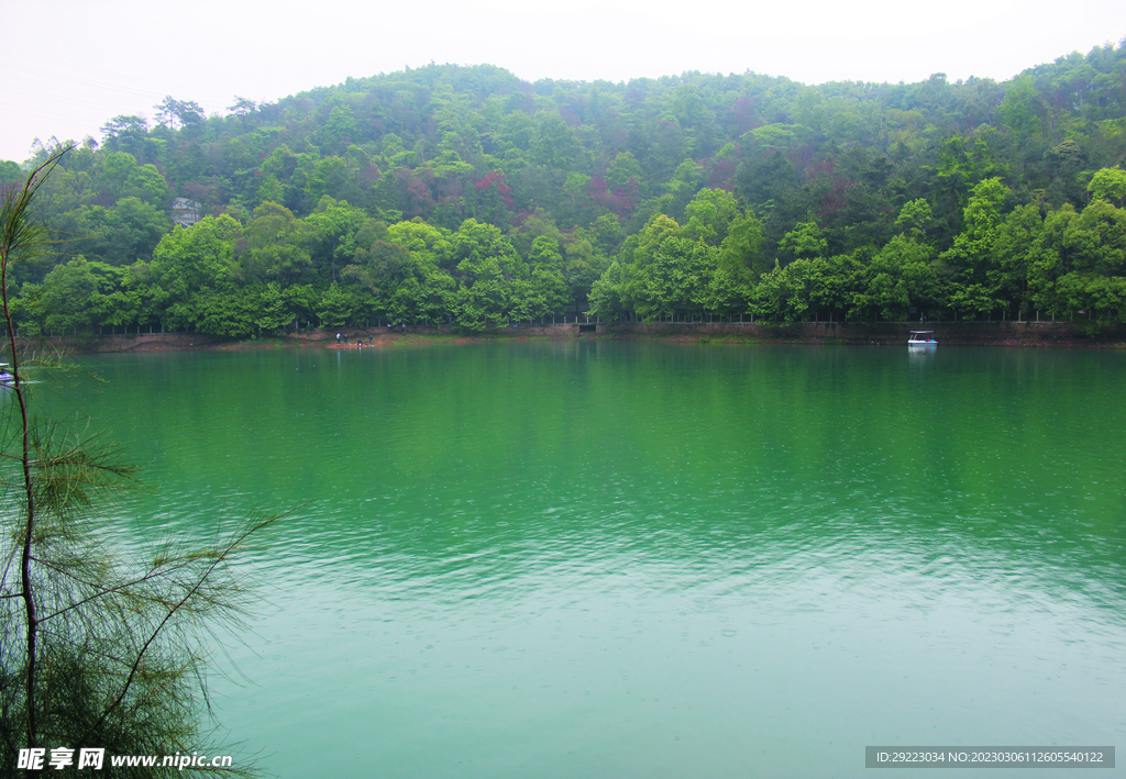 风景 水  树