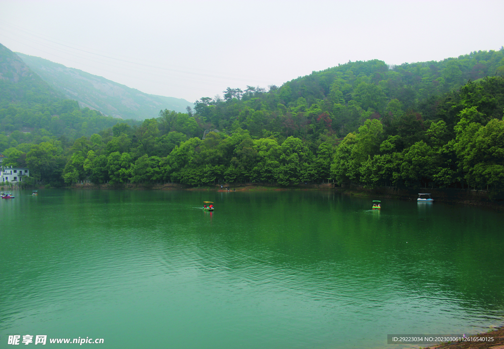 风景 水   树