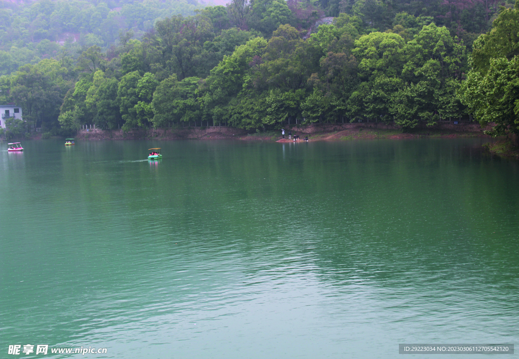 风景 水 树 