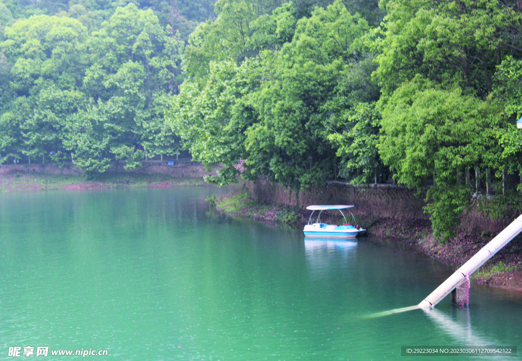 风景 水 树 
