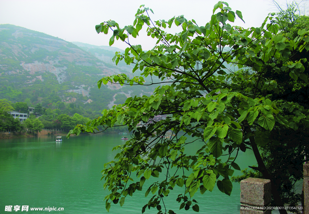 风景 水 树