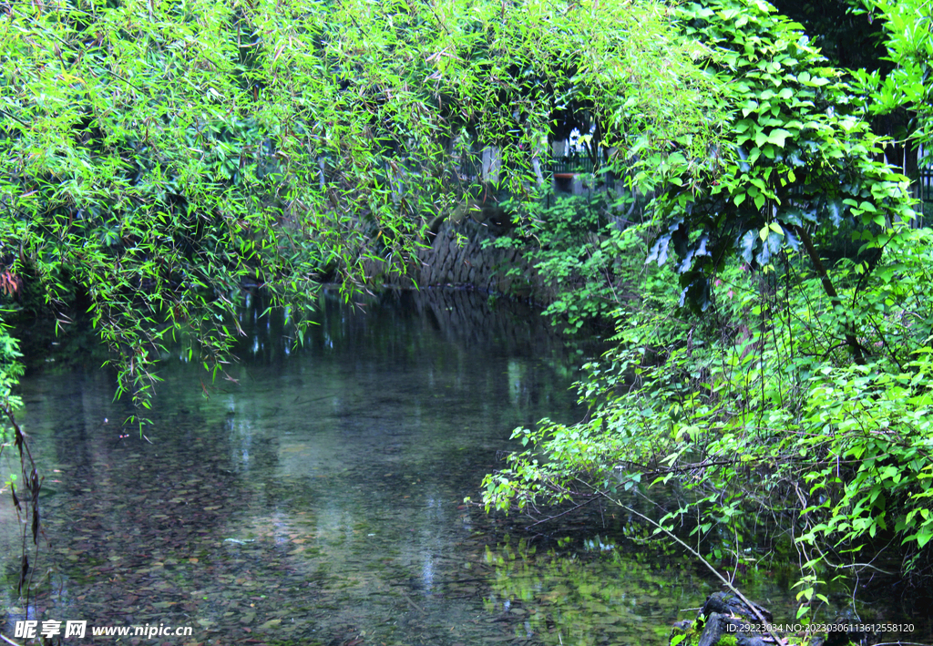 风景  水   树