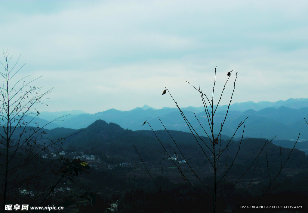 山