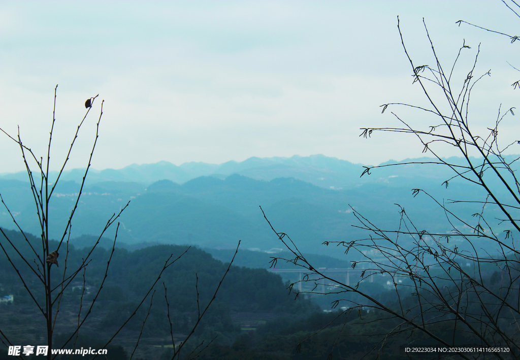 山