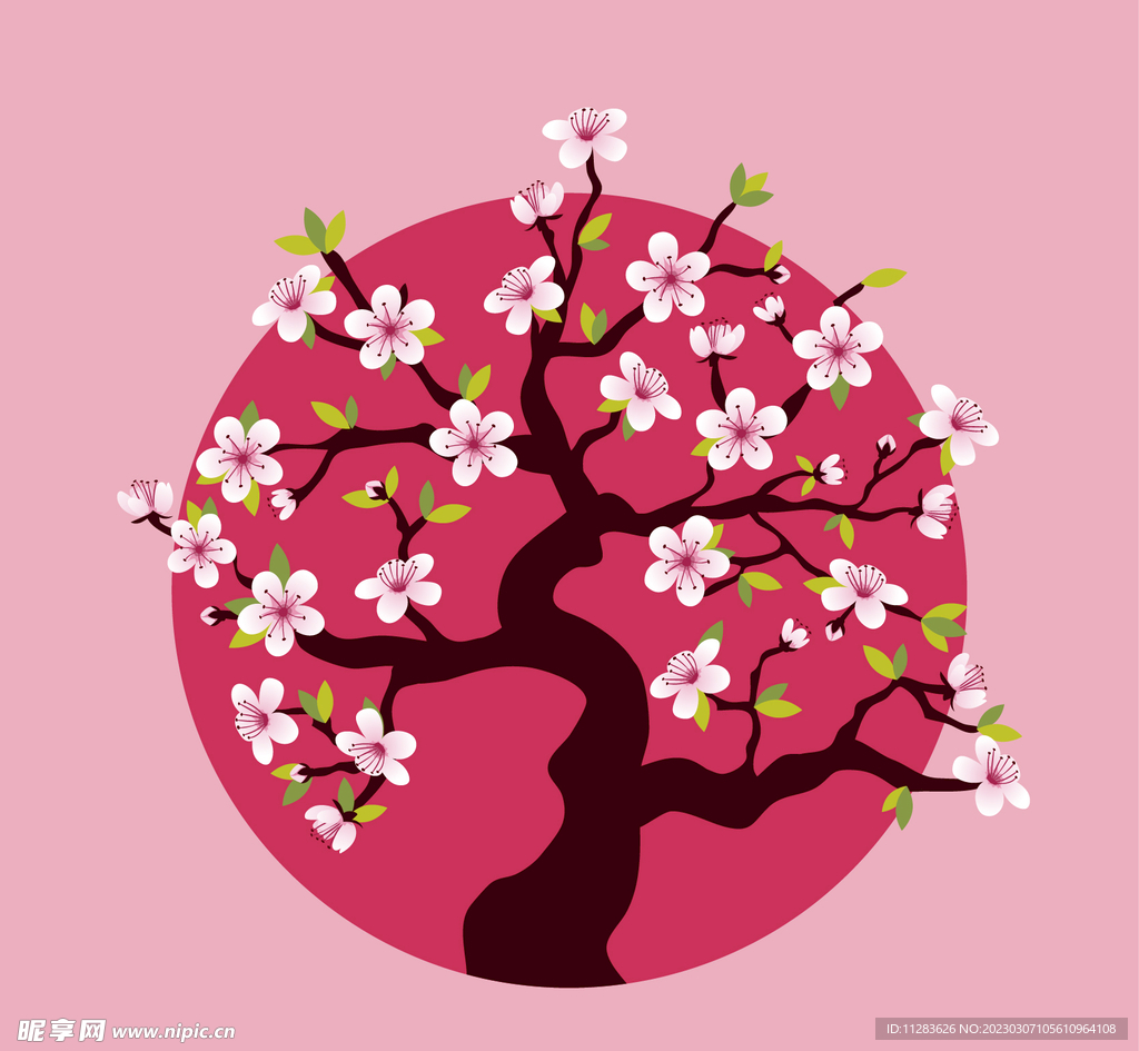 樱花插画