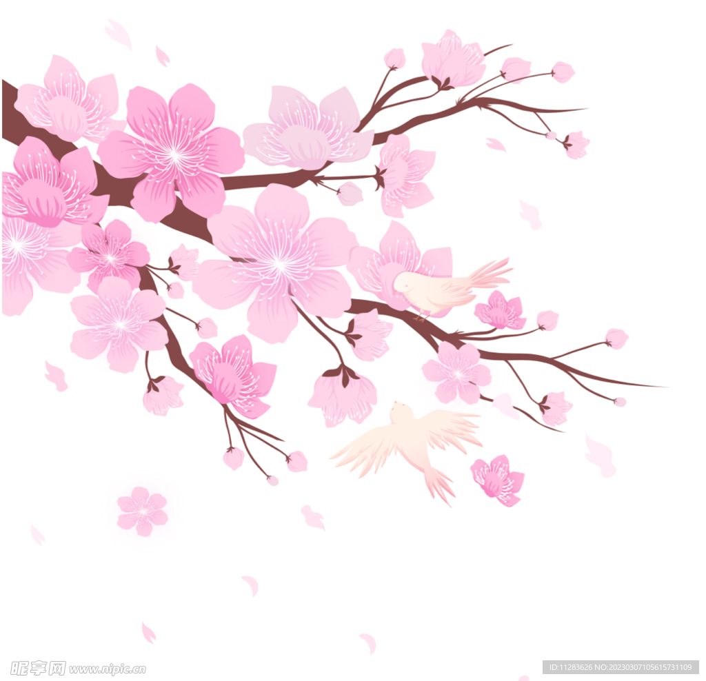 樱花插画