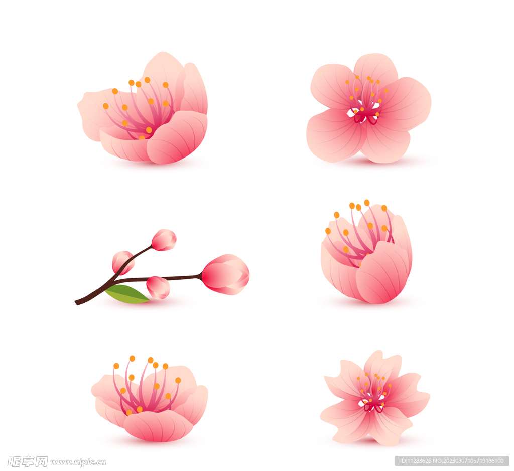 樱花素材