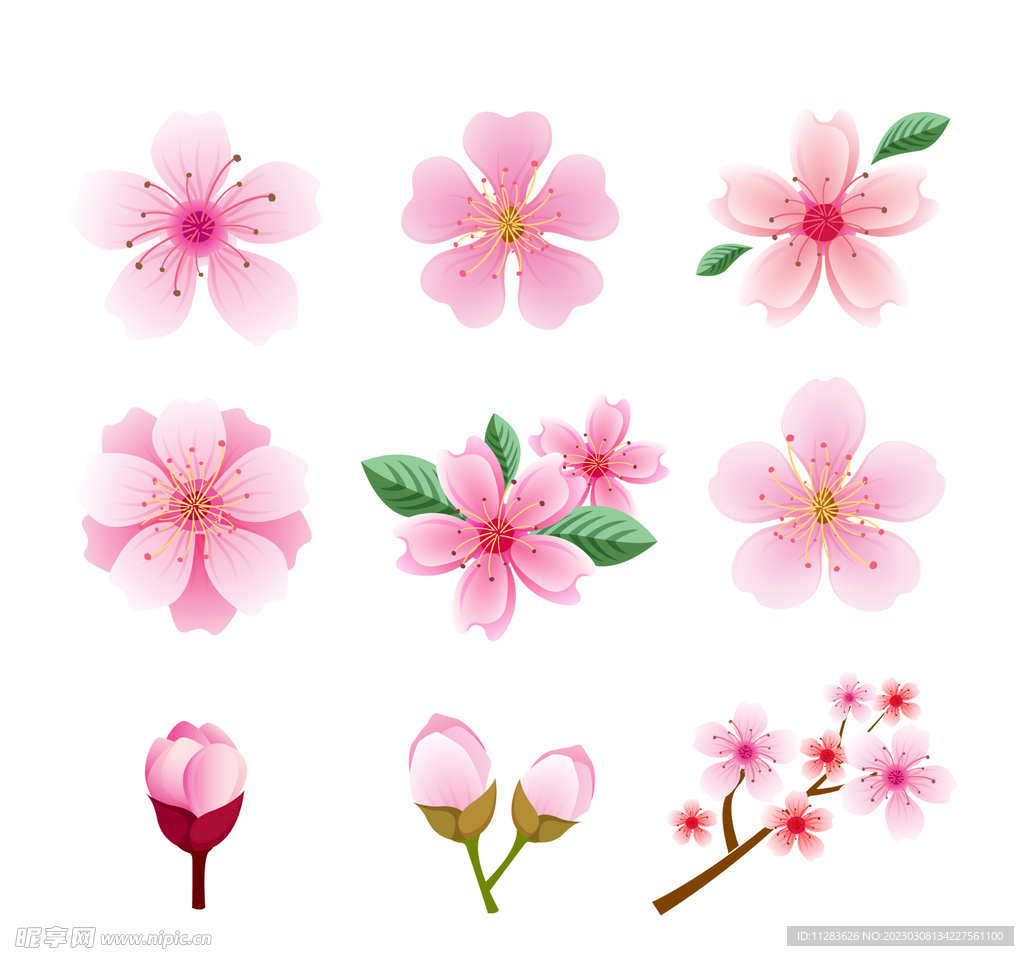 樱花插画