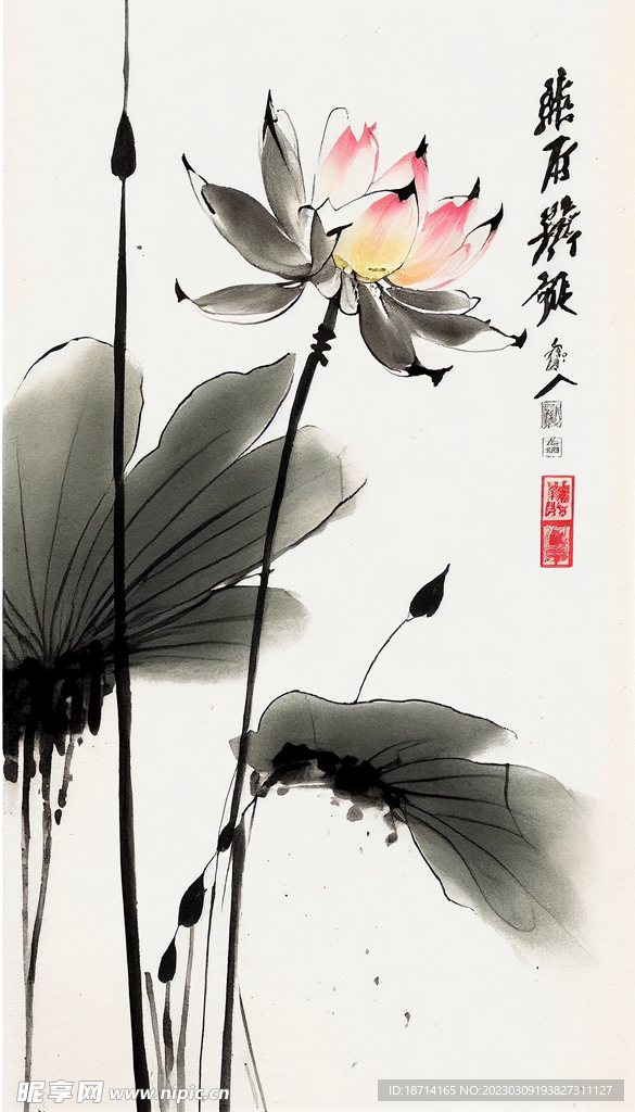 国画荷花图