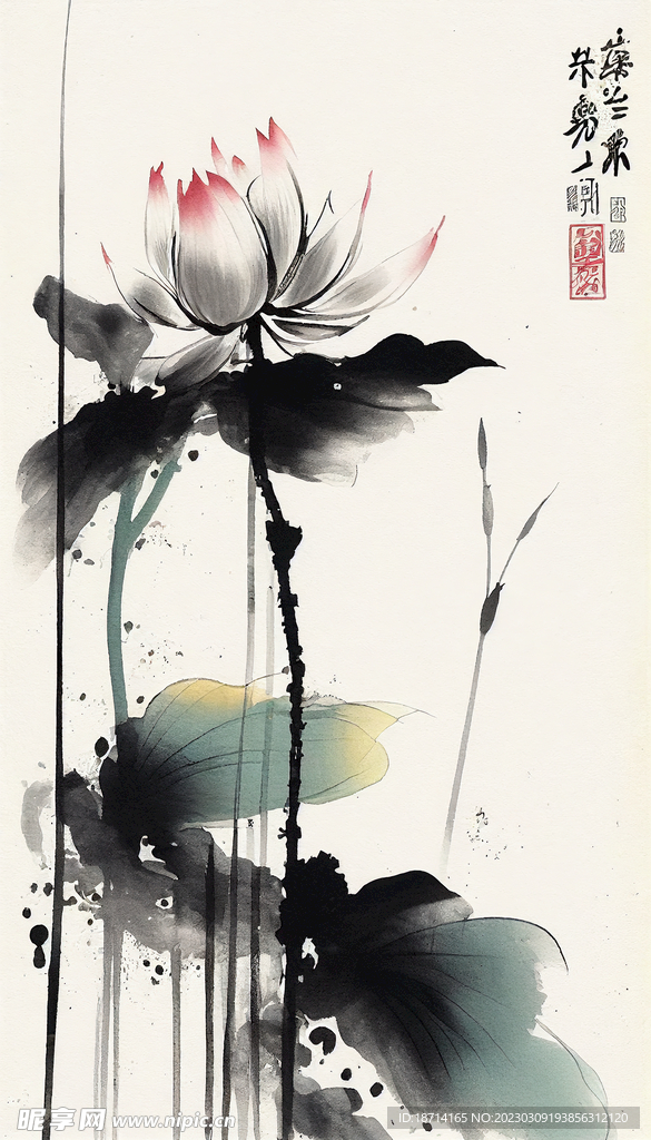 国画荷花图