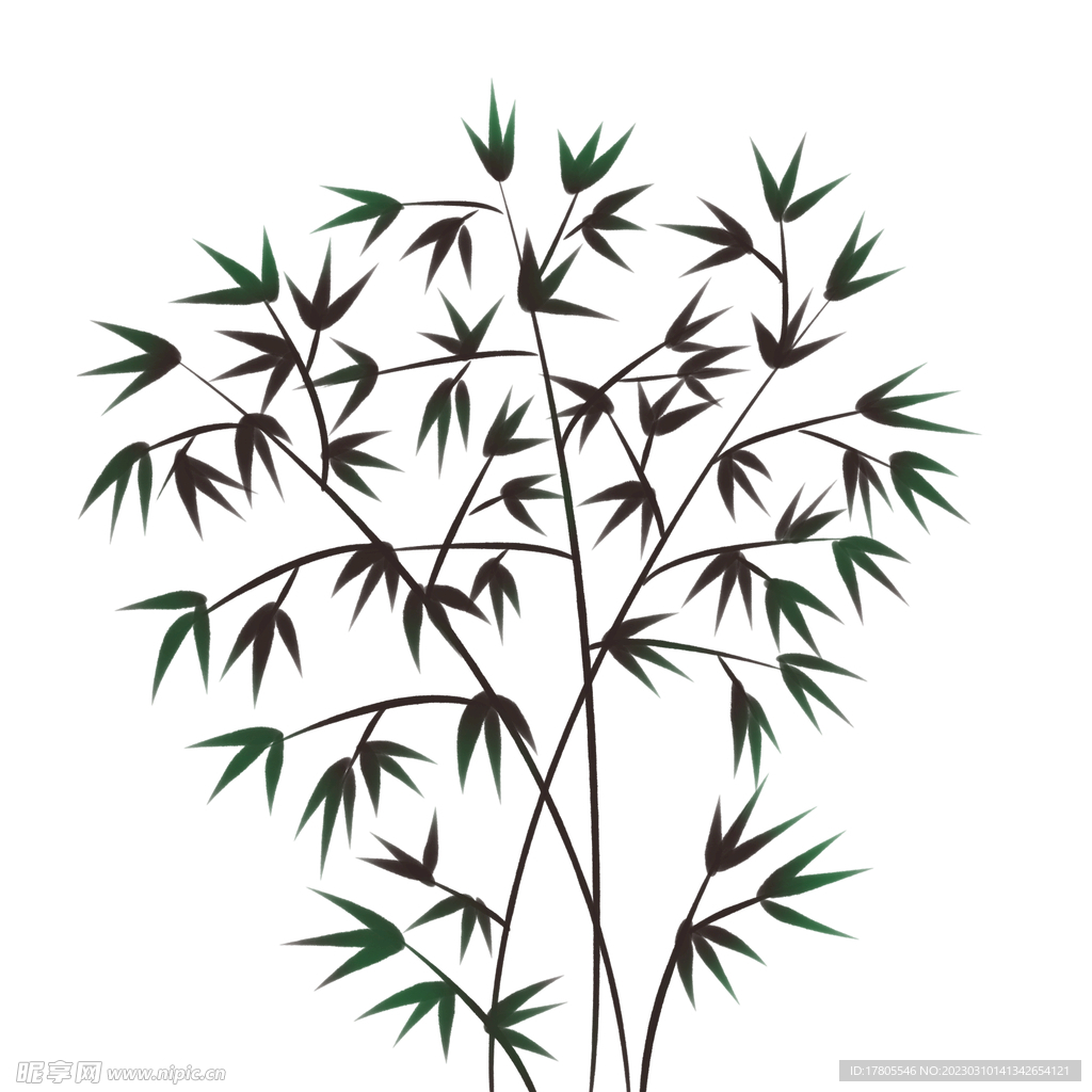 竹子素材 中国风 竹叶 青竹 
