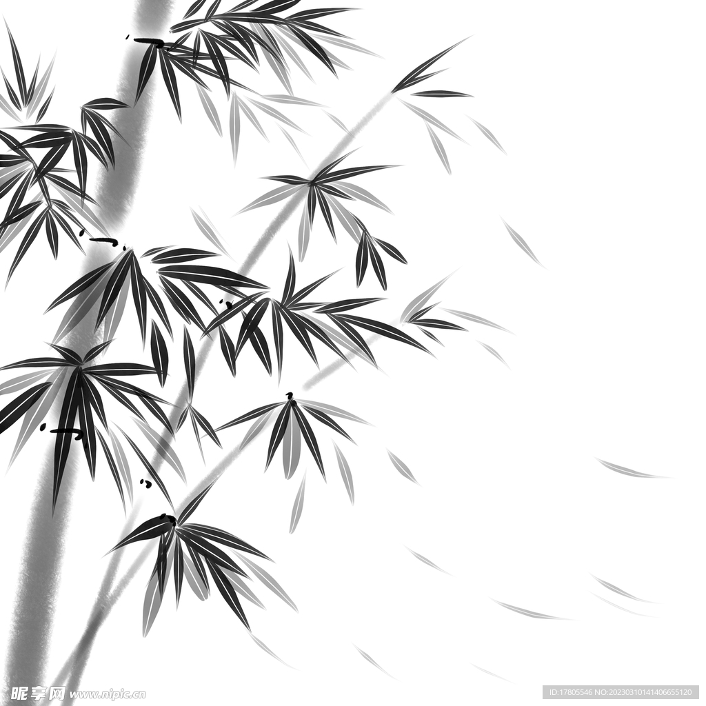 竹子素材 中国风 竹叶 青竹 