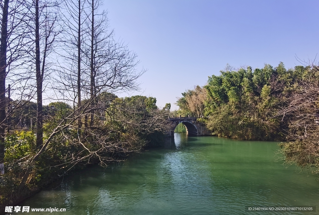 乌镇绿水树荫石拱桥