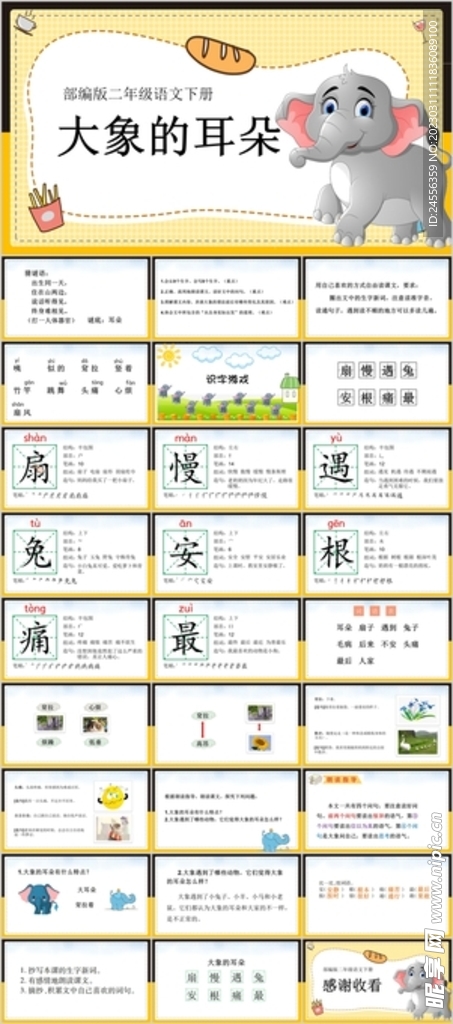 大象的耳朵