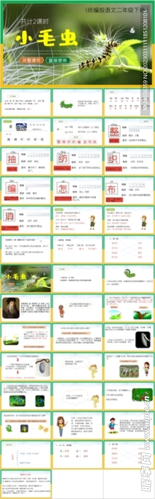 小毛虫