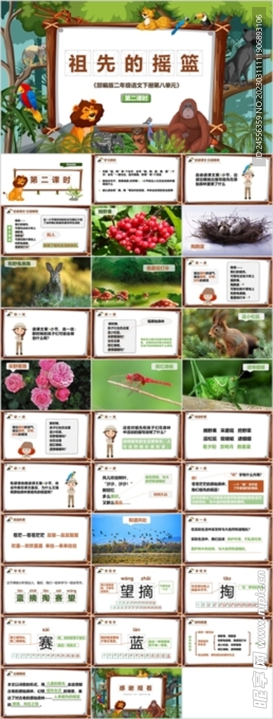 祖先的摇篮