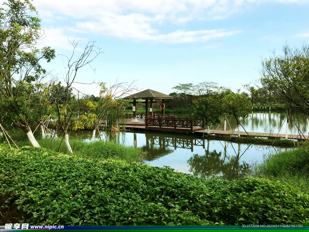 广州南沙湿地公园