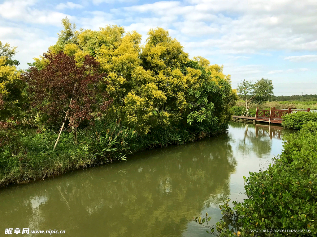 广州南沙湿地公园