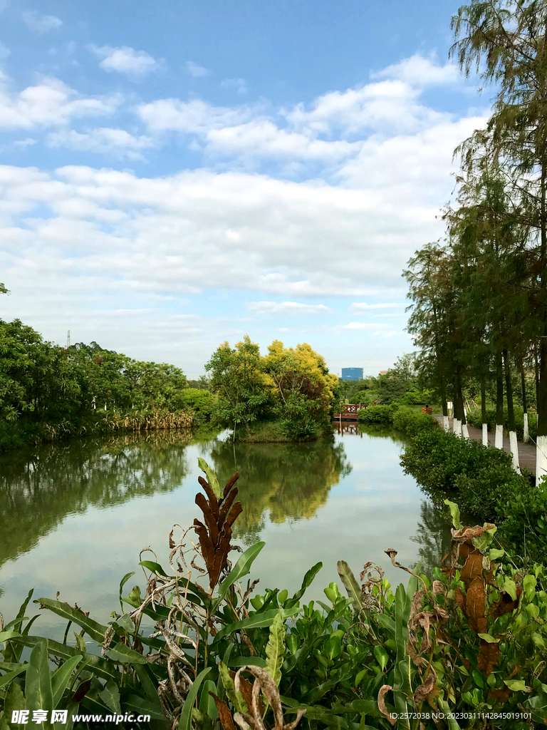 广州南沙湿地公园