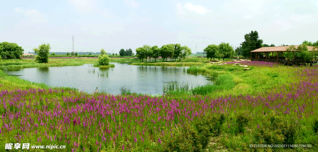 黑龙江哈尔滨松江湿地