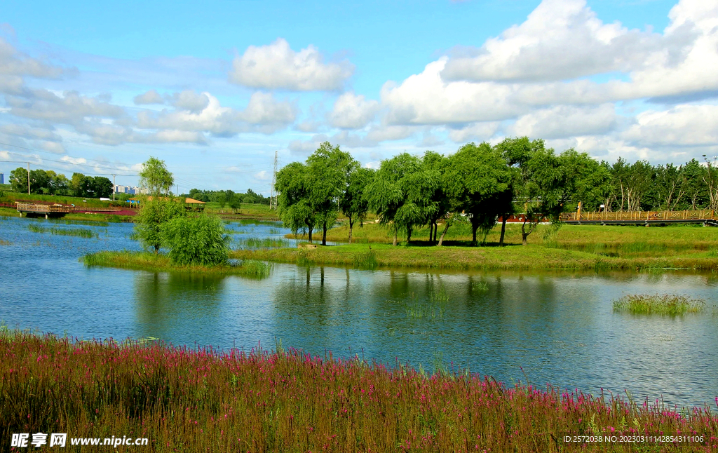 黑龙江哈尔滨松江湿地