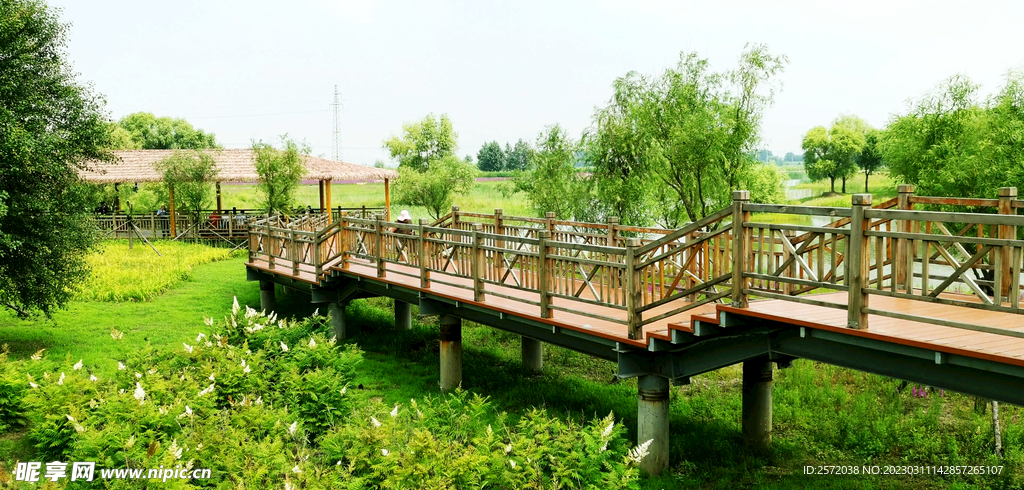 黑龙江哈尔滨松江湿地0