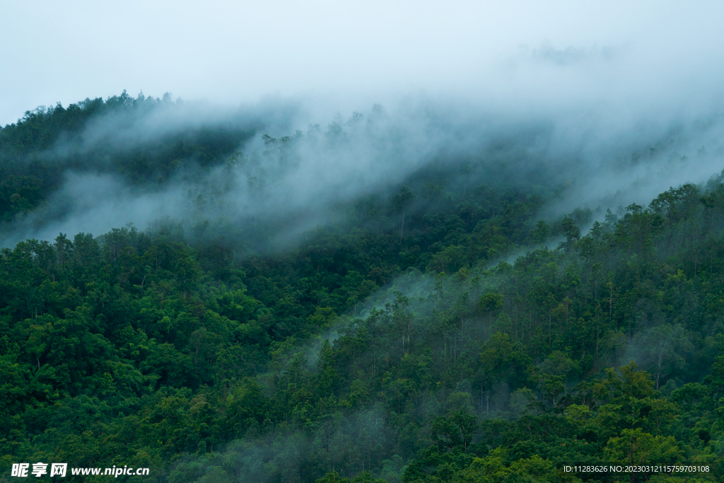 山林背景图