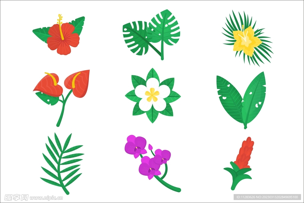 鲜花