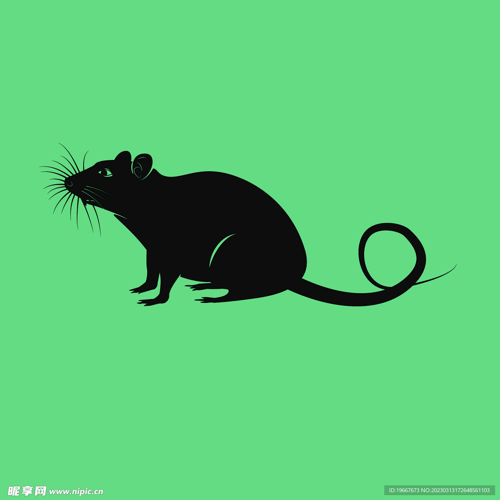 动物  