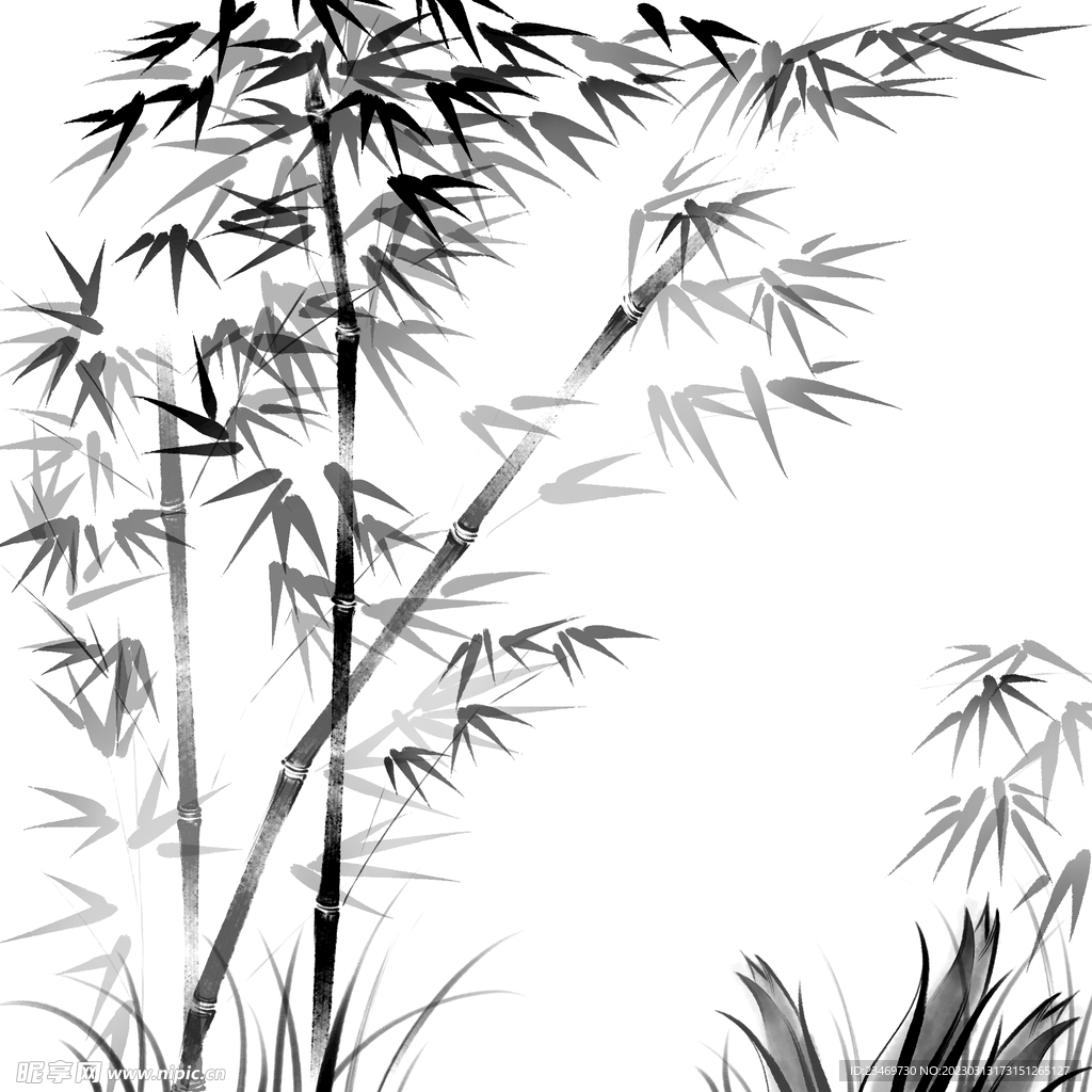 竹子