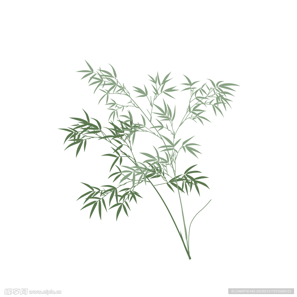 竹子