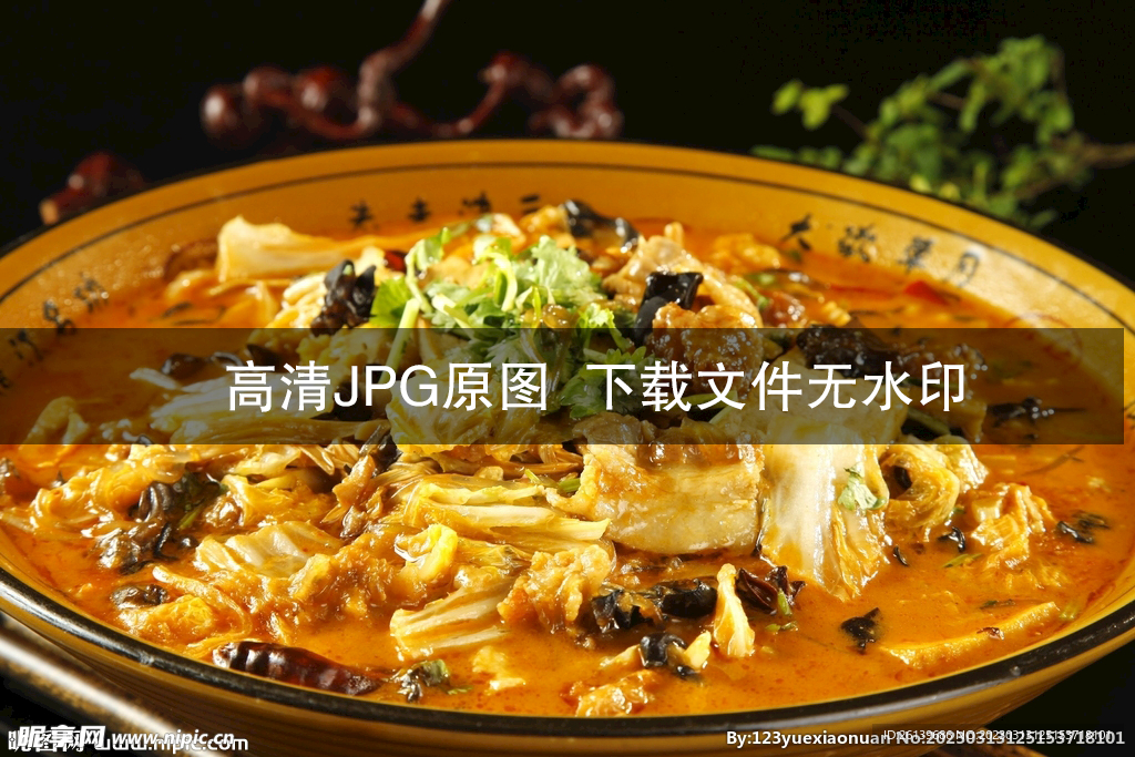 全家福