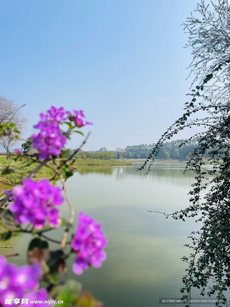 湖边风景
