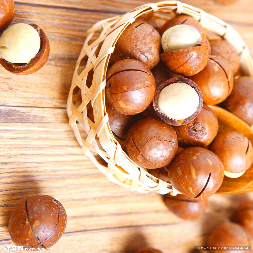 夏威夷果摄影图