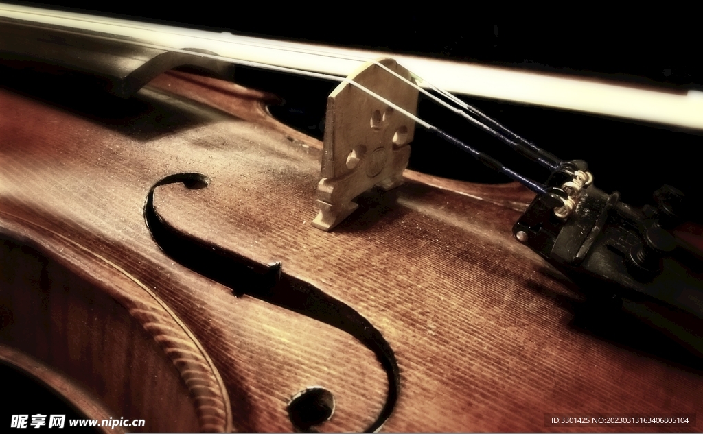 小提琴特写