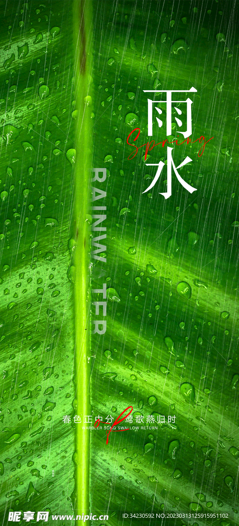 雨水