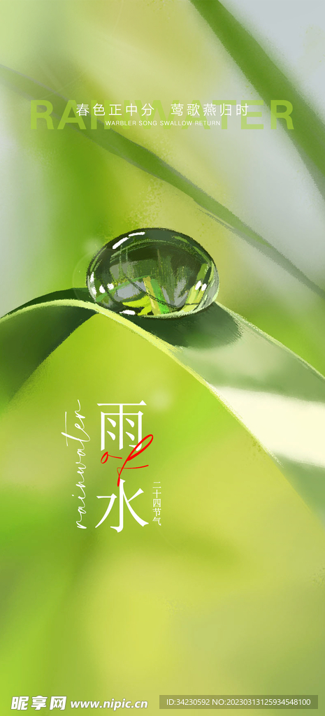 雨水