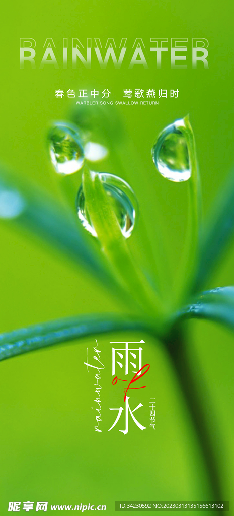 雨水