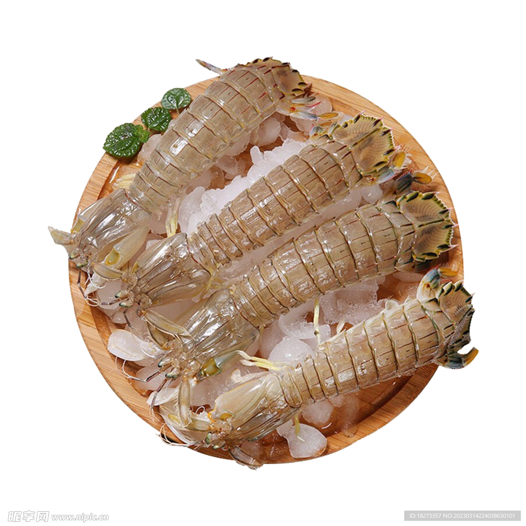 皮皮虾